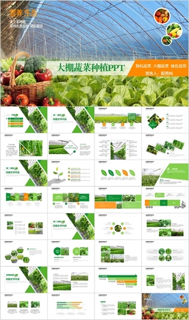 智慧农业大棚蔬菜农副产品PPT