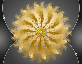 金箔羽毛圆形 玄关 烁金