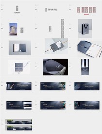 地产壹号院提案 VI