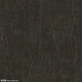 黑金花 黑金线瓷砖高清图片