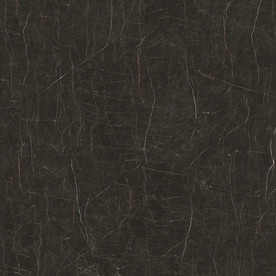 黑金花 黑金线瓷砖高清图片