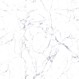 爵士白 鱼肚白高清大理石瓷砖
