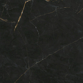 黑金花 黑金线瓷砖高清