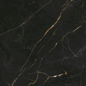 黑金花 黑金线 瓷砖高清