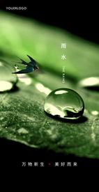 雨水节气海报