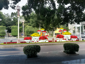 花坛摆花设计效果图