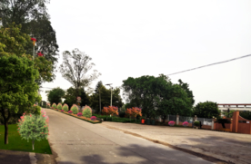 绿化景观改造设计效果图