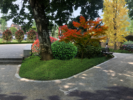 绿化改造景观设计效果图