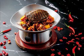 古法板栗焖甲鱼