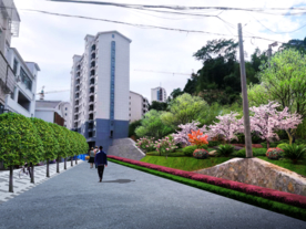 绿化景观改造设计效果图