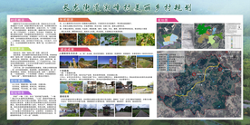 美丽乡村景观规划设计