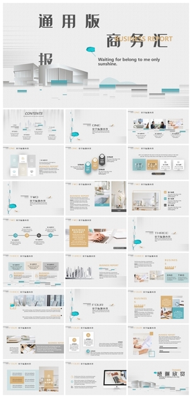 商务会议汇报项目介绍PPT