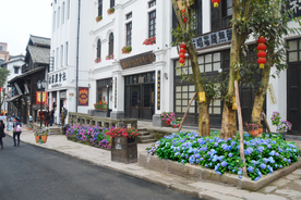 绣球民宿花境景观设计