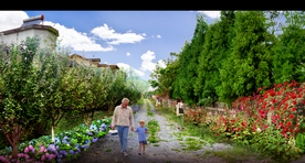 乡村道路花境景观设计效果图