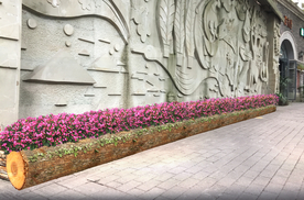 特色摆花景观设计效果图