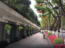 道路花卉景观设计效果图