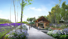 乡村花境景观设计效果图