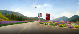 道路花境景观设计