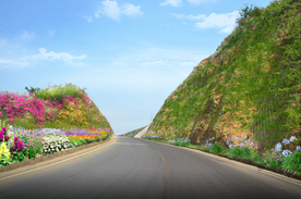 斜坡花境景观设计效果图