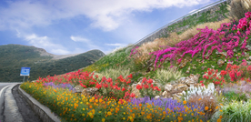 斜坡花境设计效果图