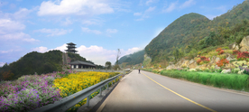 乡村道路花境景观设计