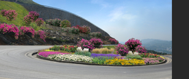 乡村道路花境景观设计