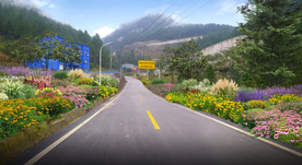 乡村道路花境景观设计