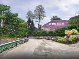 乡村道路花境景观设计