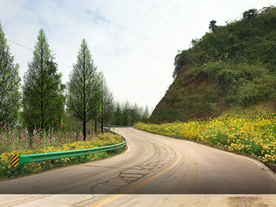 乡村道路花境设计