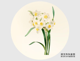 白水仙花图片大全 白水仙花设计素材 白水仙花模板下载 白水仙花图库 昵图网soso Nipic Com