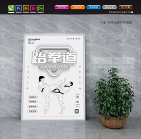 跆拳道海报