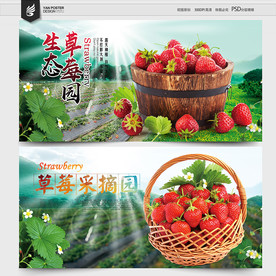 草莓采摘园