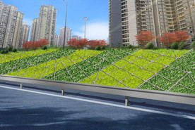 道路边坡 格构  斜坡绿化