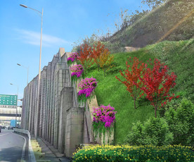 边坡挡墙美化  斜坡绿化