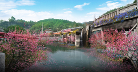 池塘花境景观设计效果图