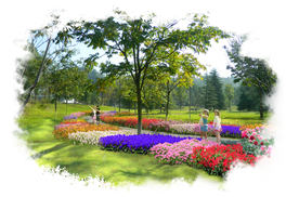 道路花境景观设计效果图