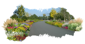 道路花境景观设计效果图
