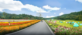 道路花境景观设计效果图
