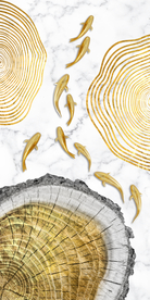 九鱼图金箔玄关