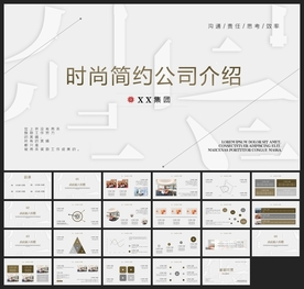 商务会议汇报项目介绍PPT