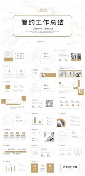 商务会议汇报项目介绍PPT