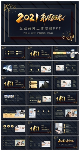 商务会议汇报项目介绍PPT