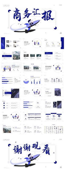 商务会议汇报项目介绍PPT