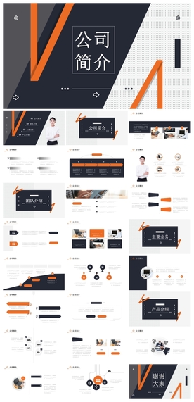 商务会议汇报项目介绍PPT