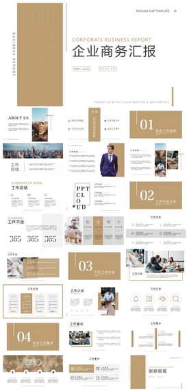 商务会议汇报项目介绍PPT