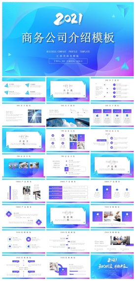 商务会议汇报项目介绍PPT