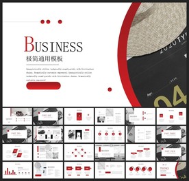 商务会议汇报项目介绍PPT