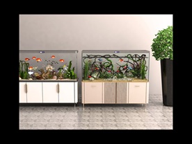 精品鱼缸效果图