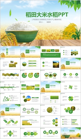 水稻五常有机大米PPT模板农业