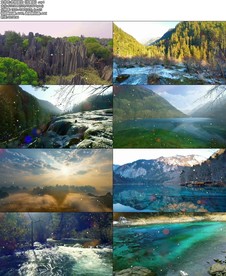 把根留住《伴奏版》